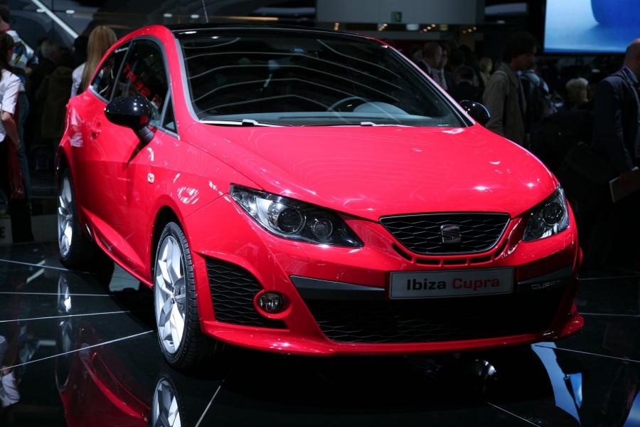  Seat Ibiza Cupra 2009 года  (фото 12 из 84)